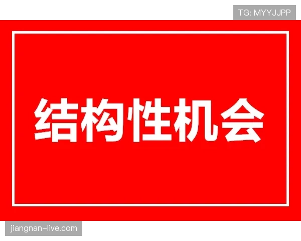 帕尔默的赛场贡献能否支撑其身价？能力兑现与市场估值匹配度解析